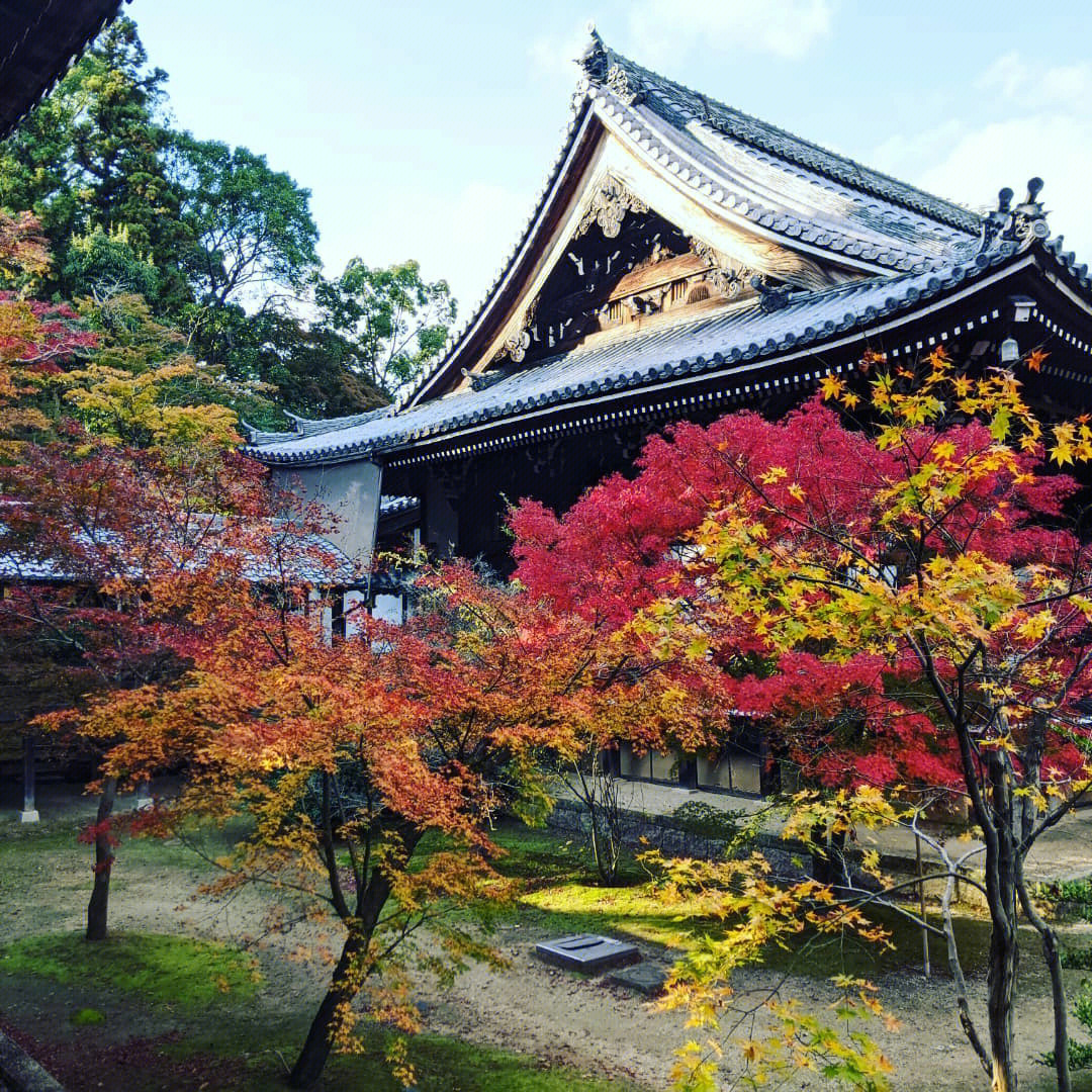 京都红叶光明寺