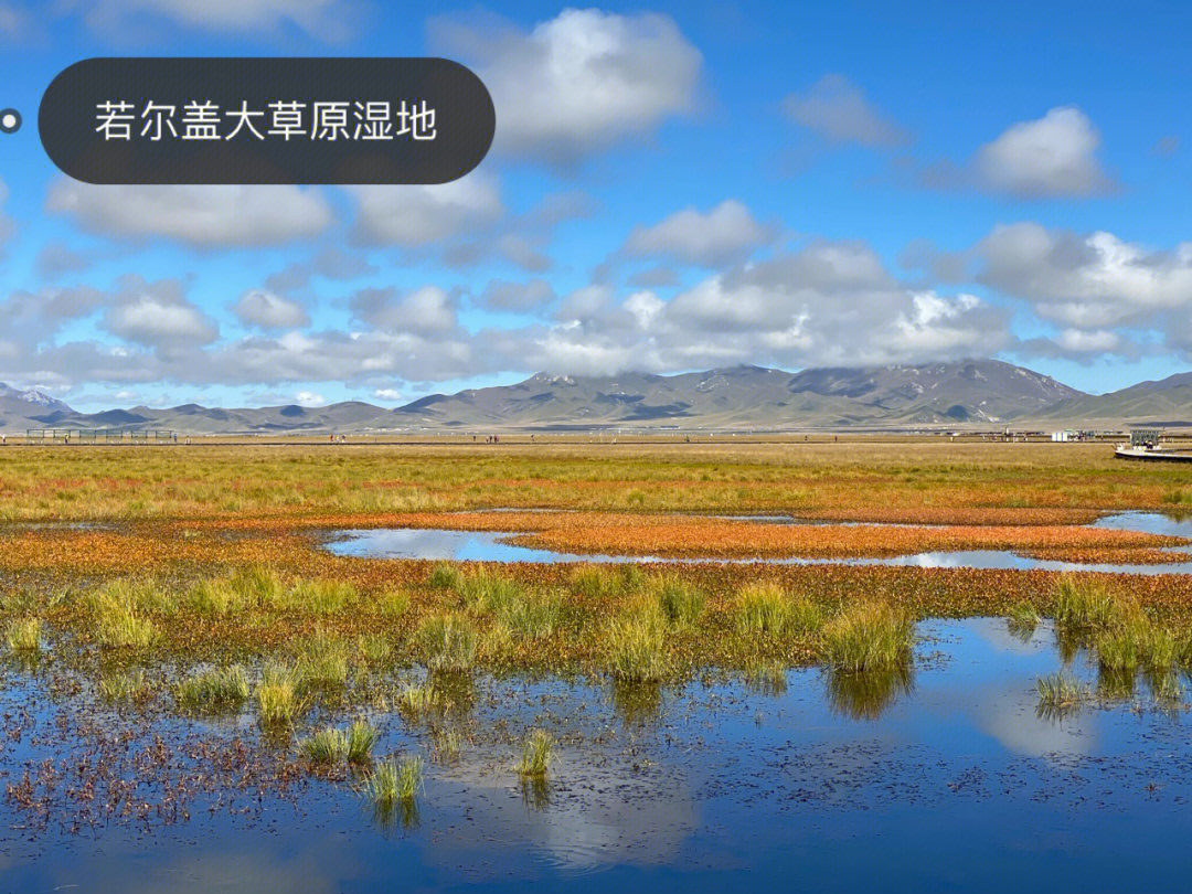 若尔盖大草原湿地