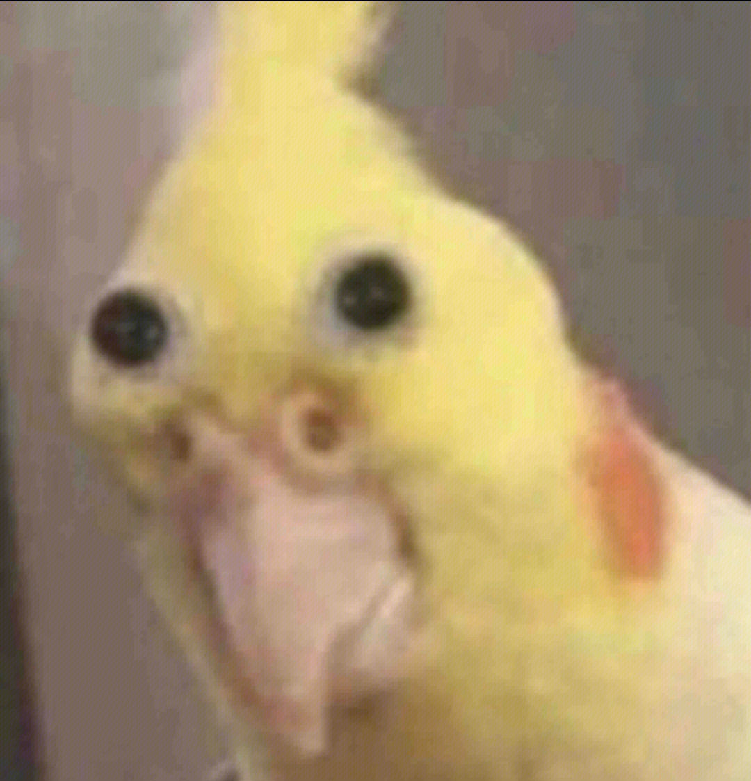 jpg