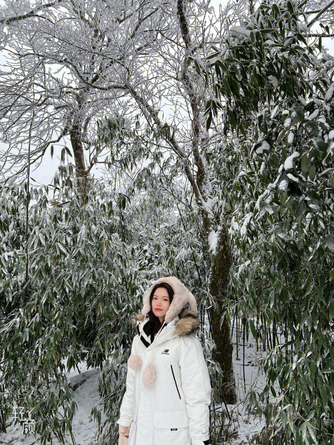 雪地拍照真的是太好看啦