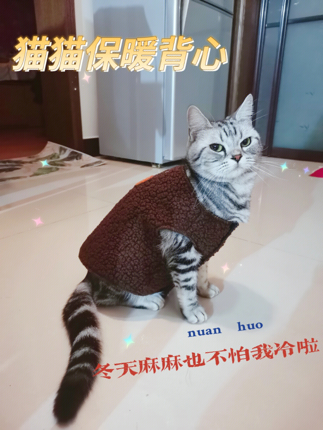 冬日躺倒不怕冷猫咪保暖背心