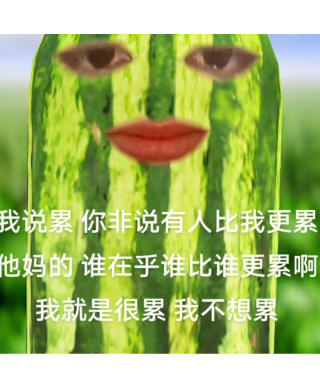 jpg