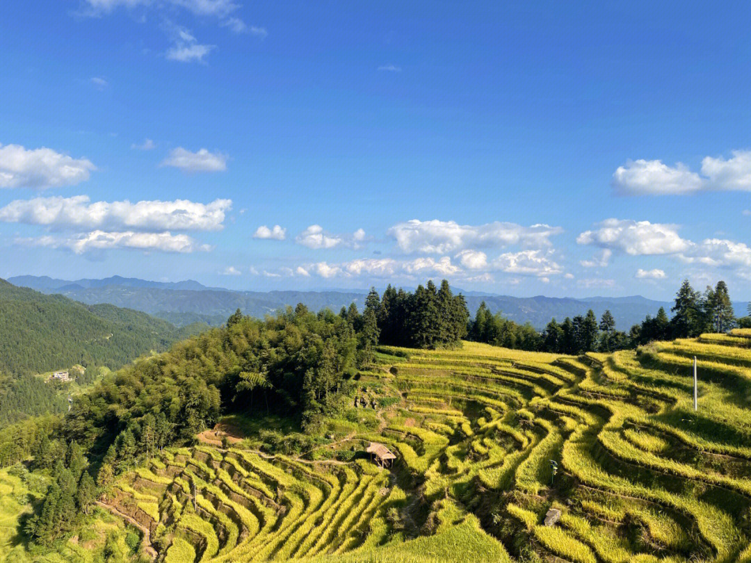 湖南省内周边旅游新化紫鹊界梯田