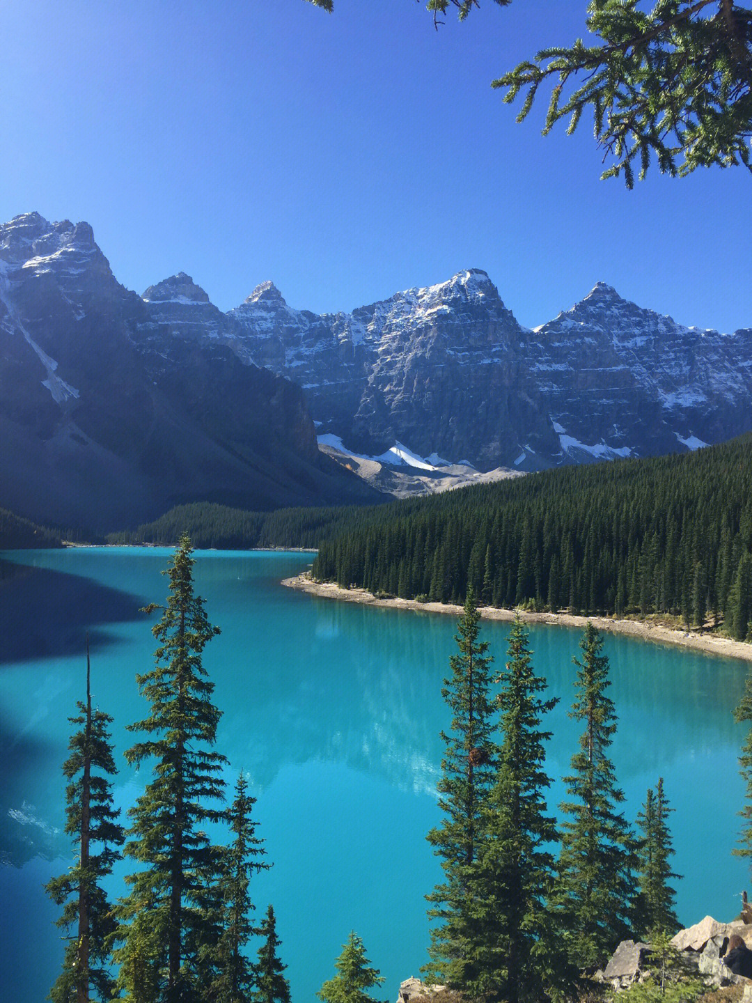 lake 梦莲湖,是位于加拿大亚伯达省alberta班夫国家公园banff内的一个