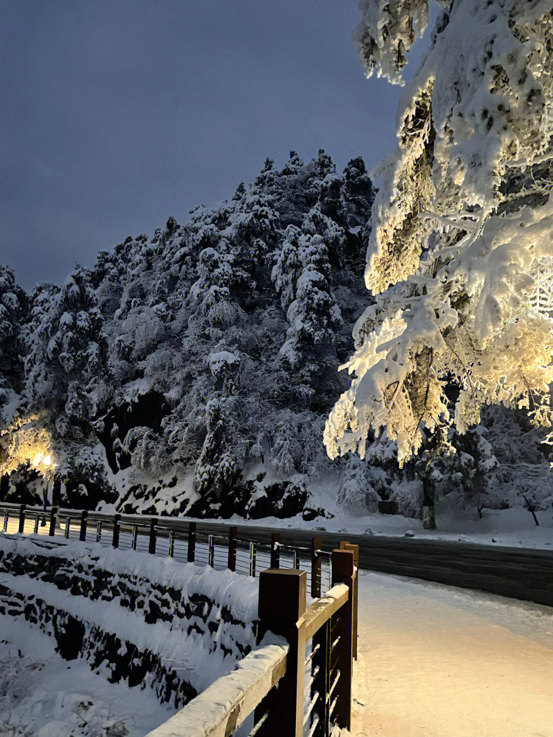 庐山雪景美绝了