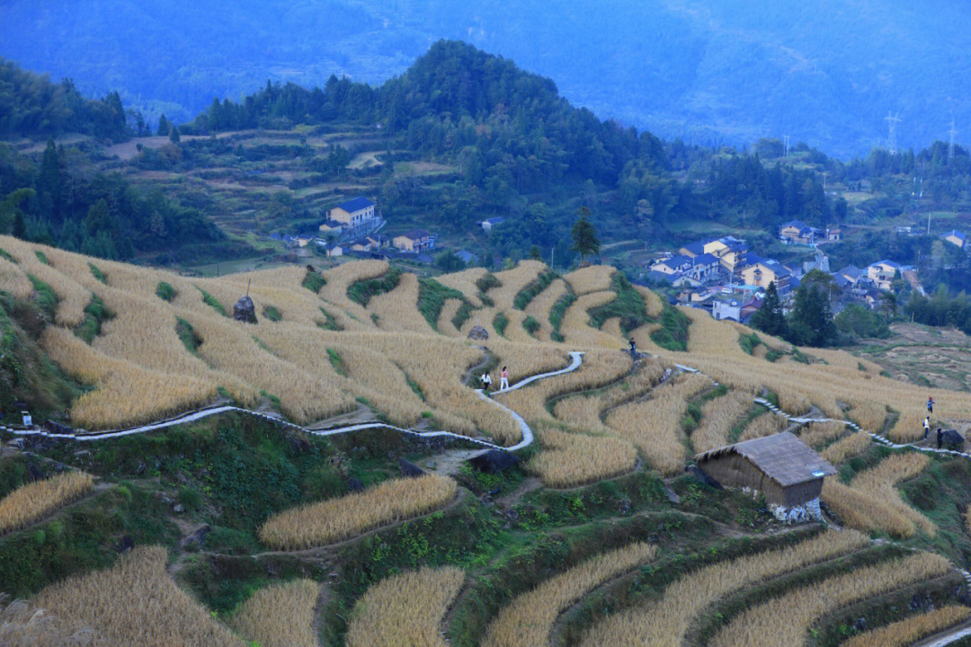 丽水云和梯田