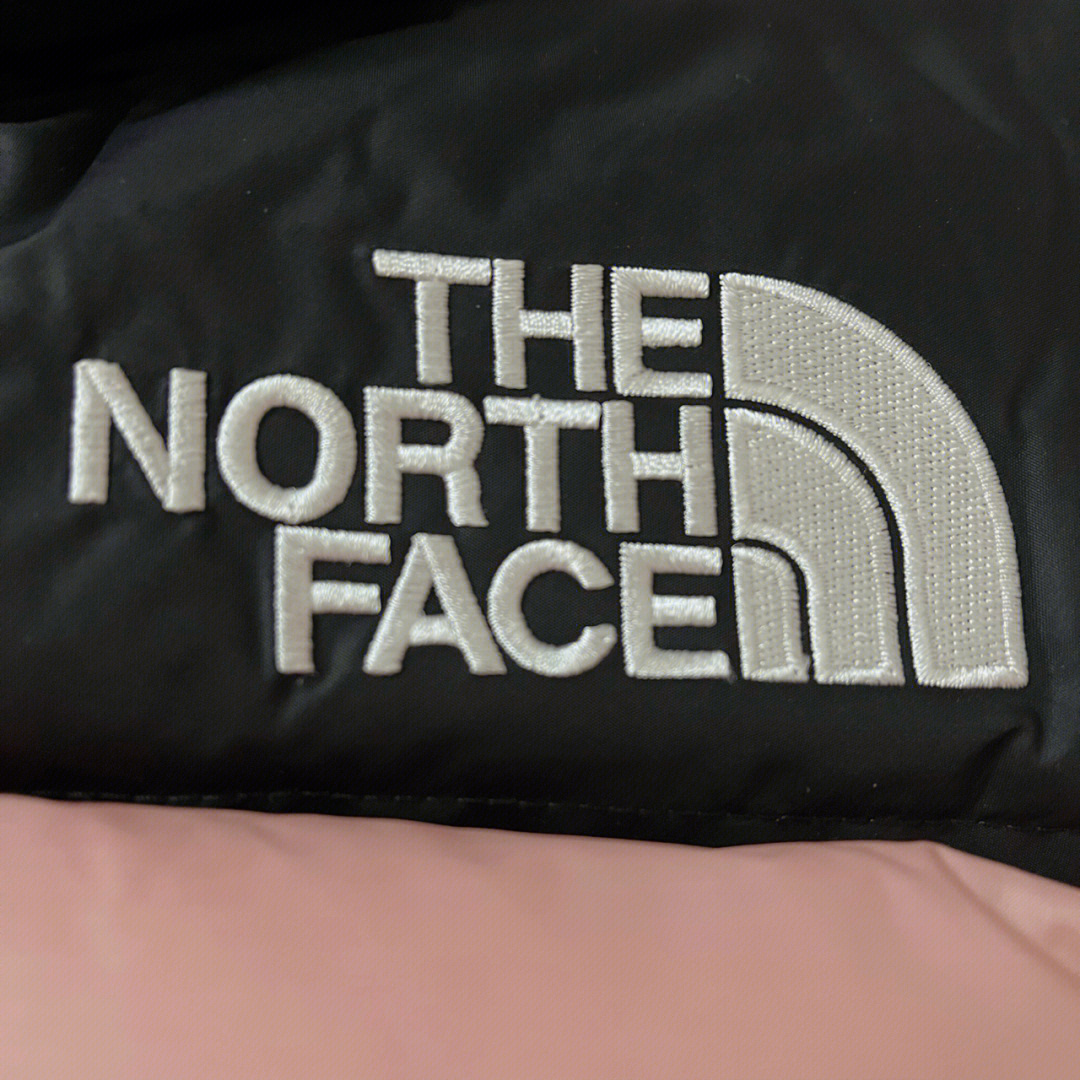 thenorthface1996econuptselogo