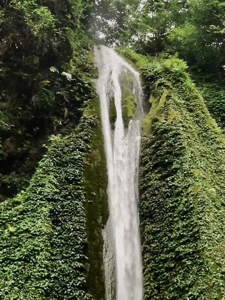 楠木沟夏天避暑玩水不来这里就亏了