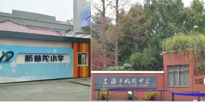 新普陀小学 梅陇中学,您想知道的这里都有