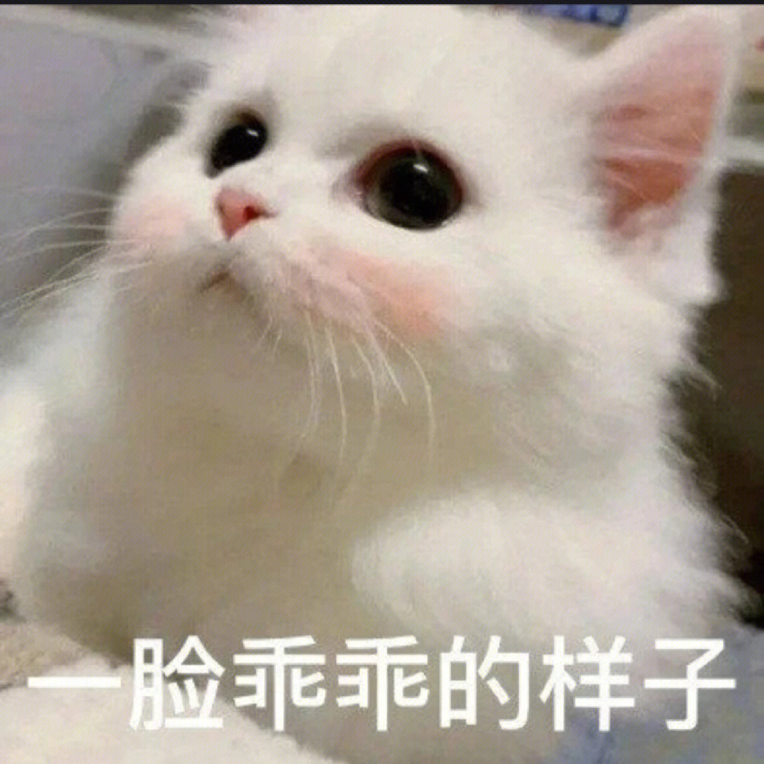jpg