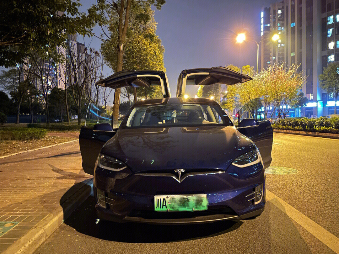 成都特斯拉model x