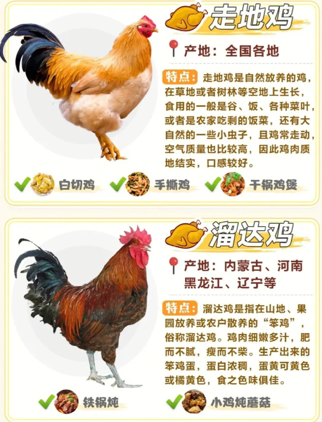 jpg