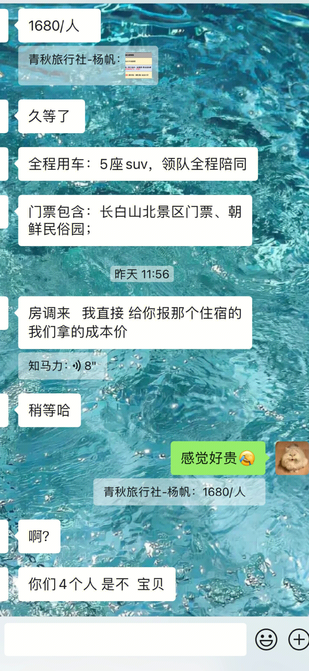 jpg