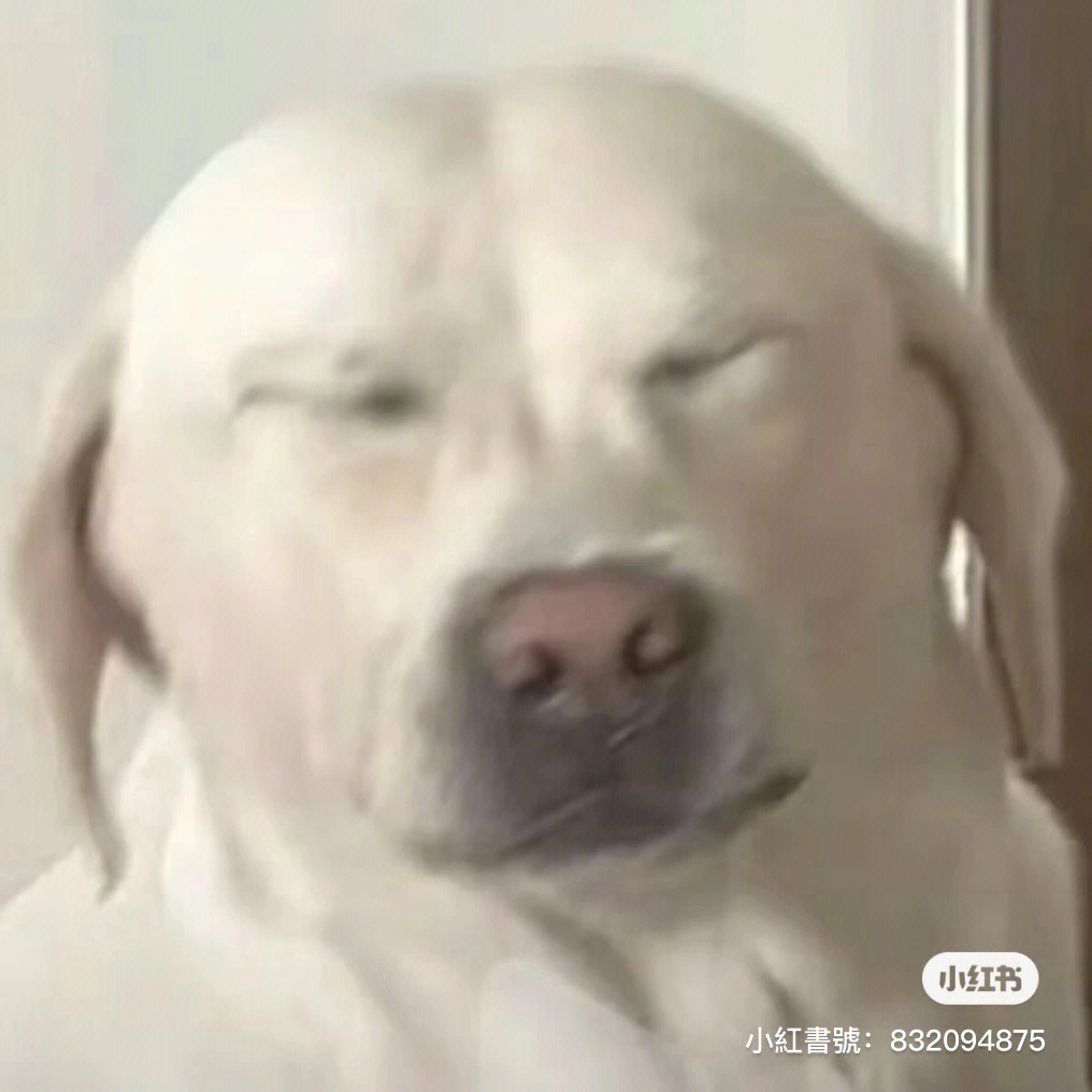 jpg