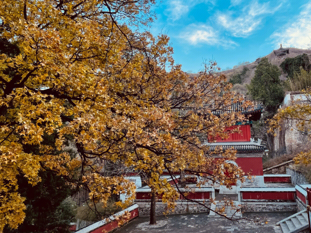 香山初冬