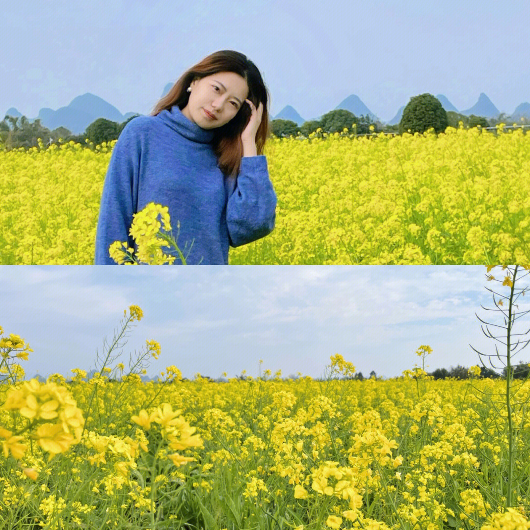 桂林雁山油菜花田里轻抚温柔的春天