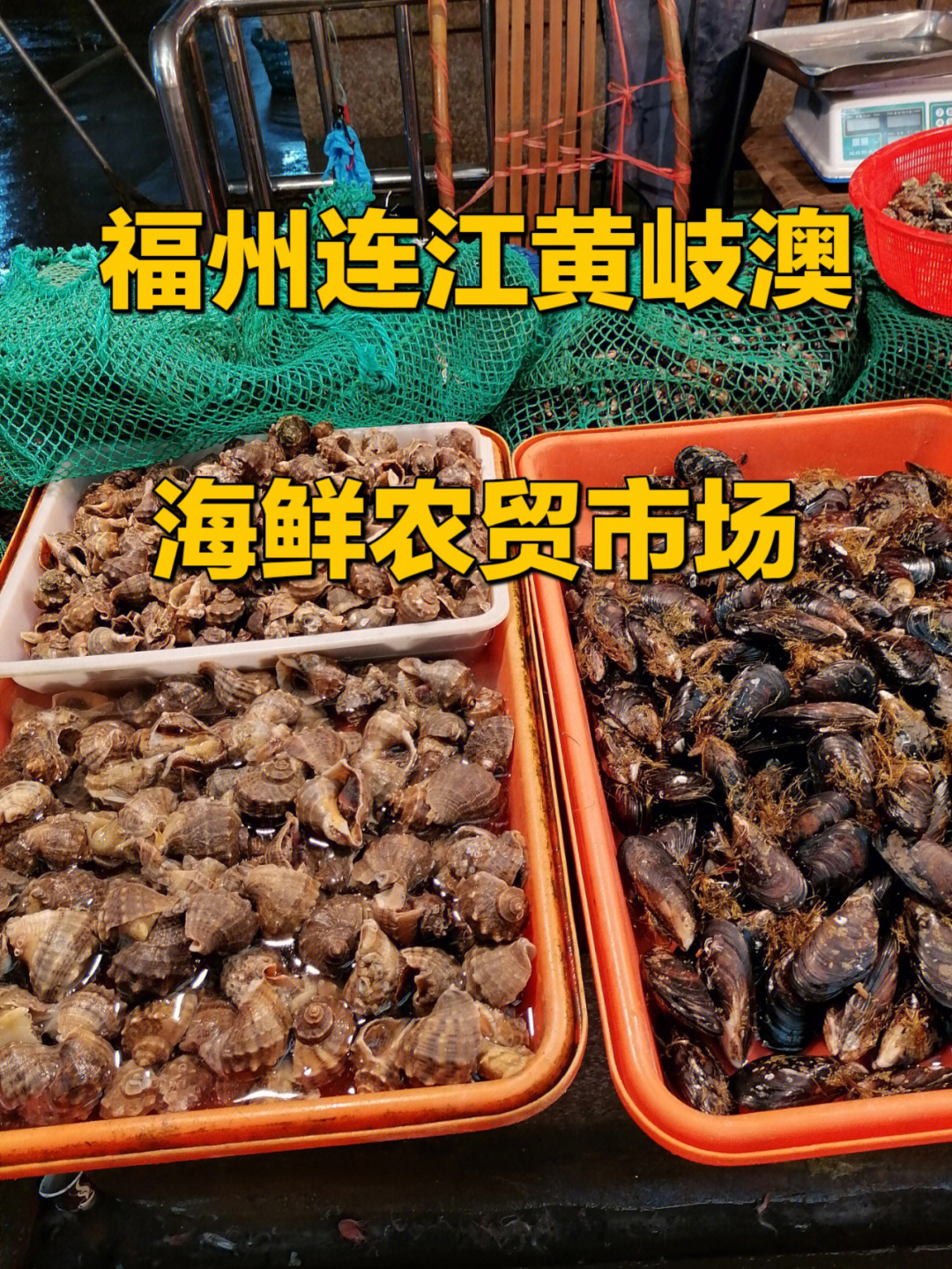 福州连江黄岐澳海鲜农贸市场可以冲哟60