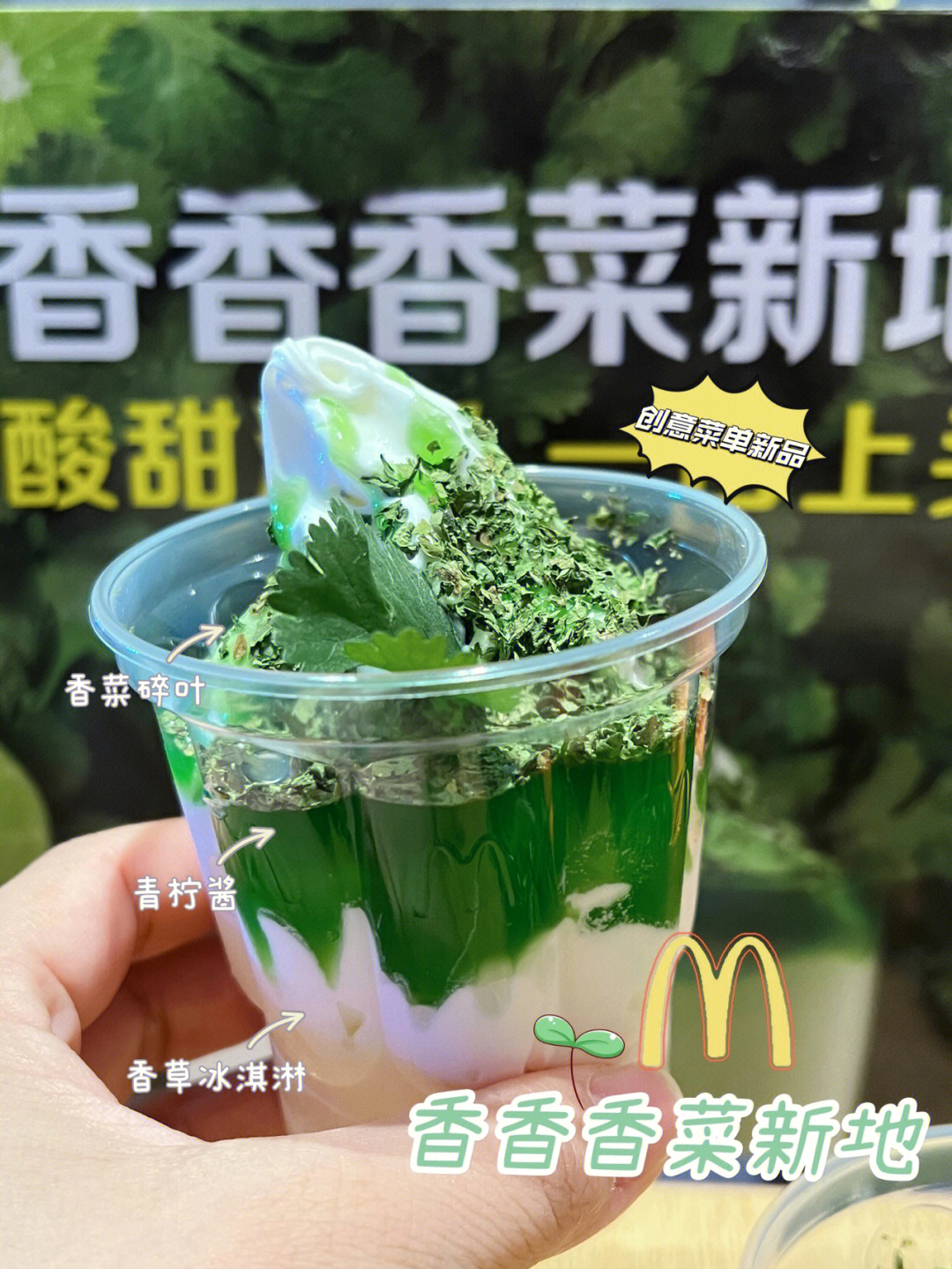 麦当劳没骗我60香菜冰淇淋也太好吃了