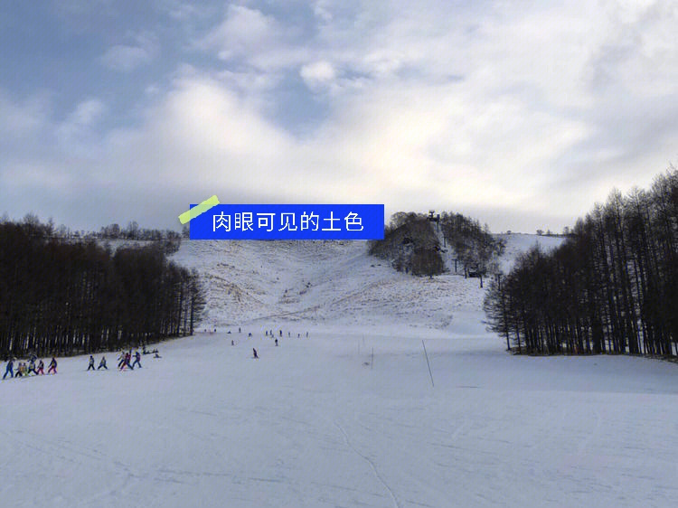 这些年去过的那些滑雪场长野蓼科高原しらかば2