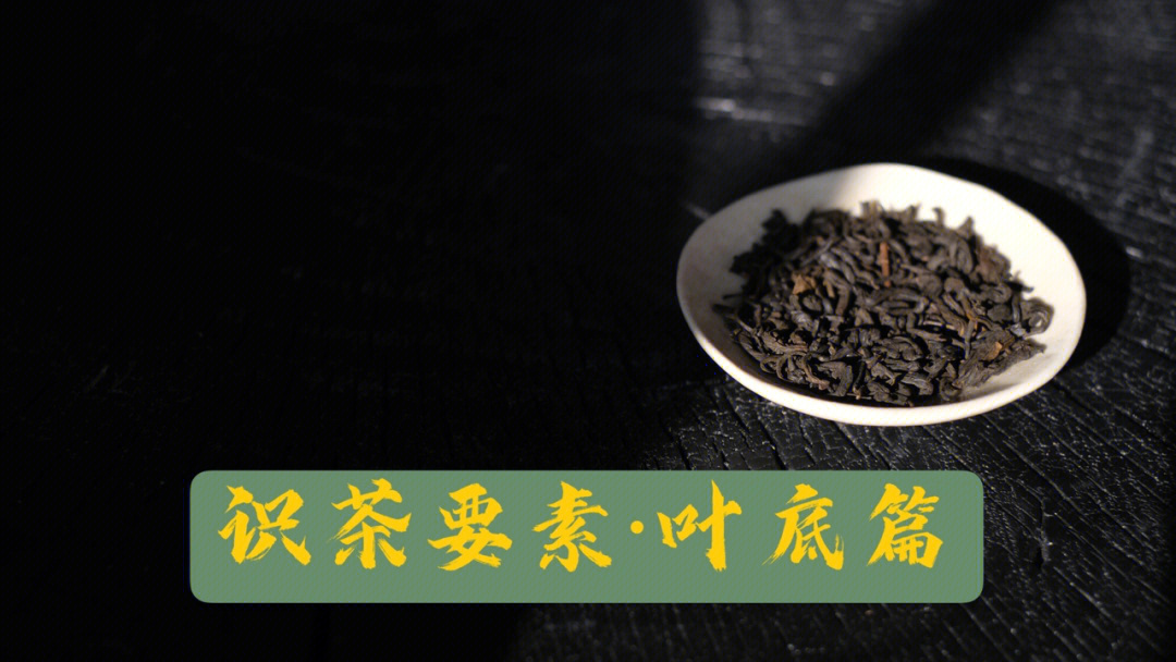 识茶要素叶底篇