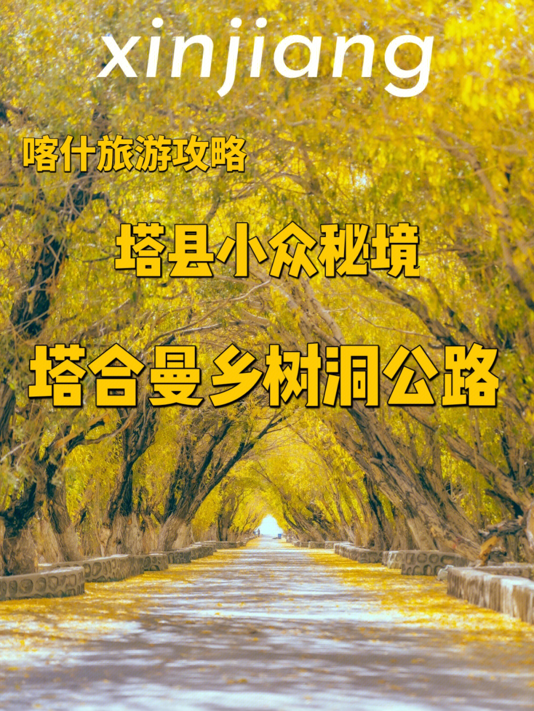 塔合曼乡树洞公路新疆版国王大道