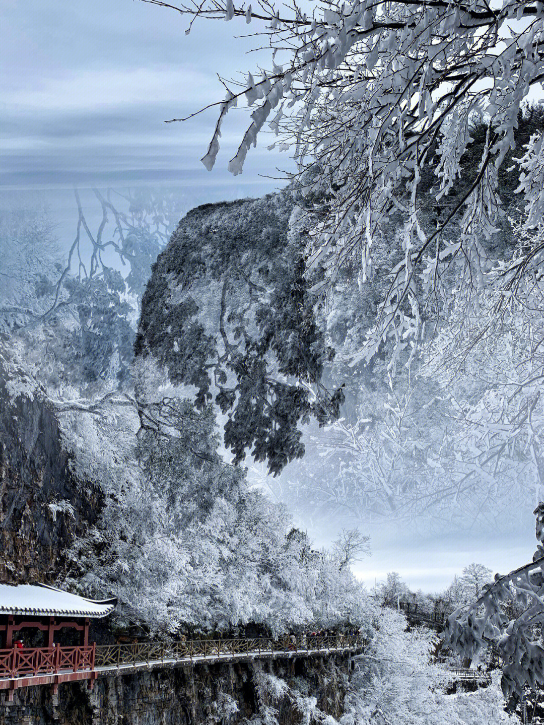 张家界天门山雪景76