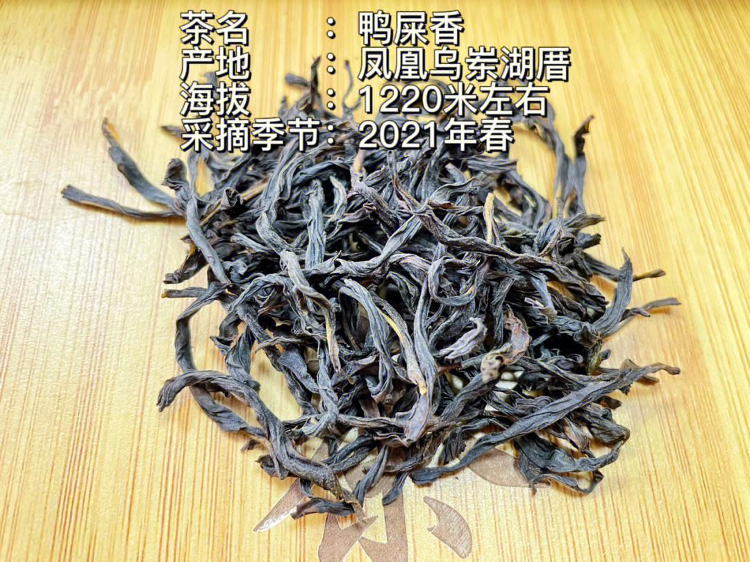 单丛茶测评乌岽鸭屎香