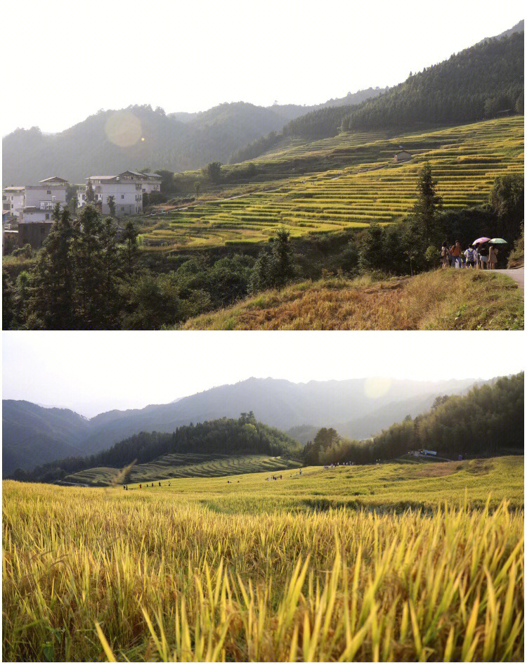 粤北连山欧家梯田秋色