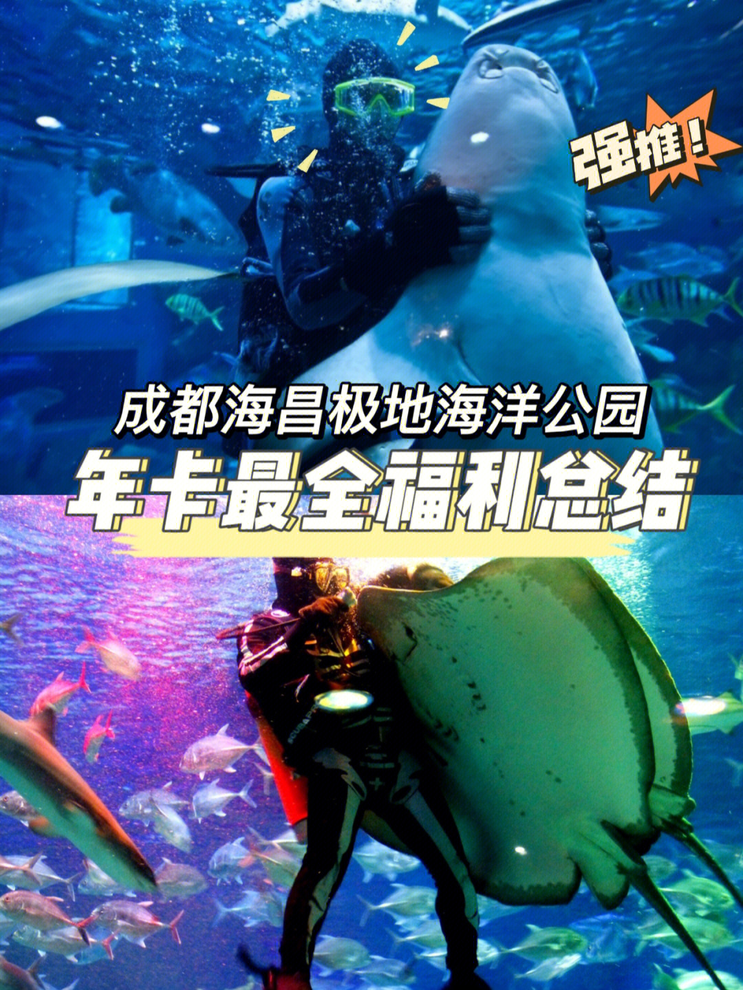 海洋公园年卡成都出游性价比之王