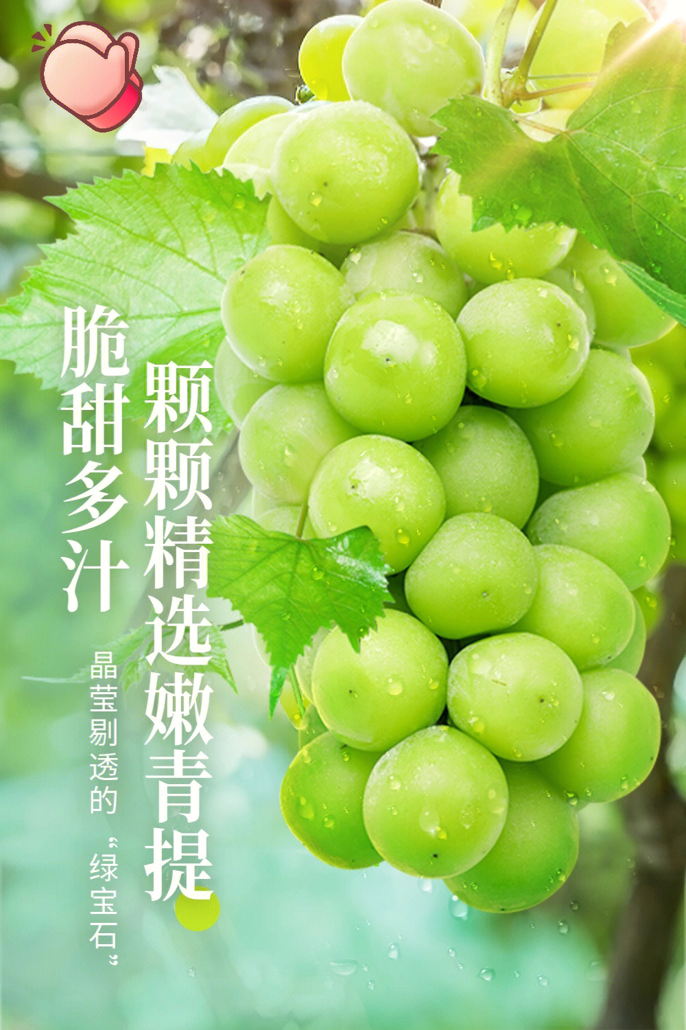 经典爆款颜值超高的青提水果茶配方分享