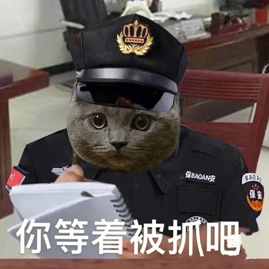 猫咪警察表情包分享快点举起手来79