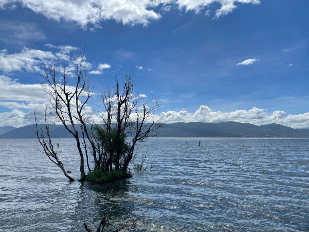 我在大理洱海天气晴