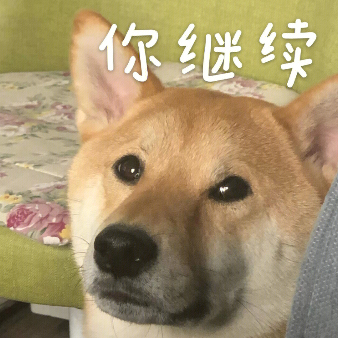 柴犬微信表情包胡小涂