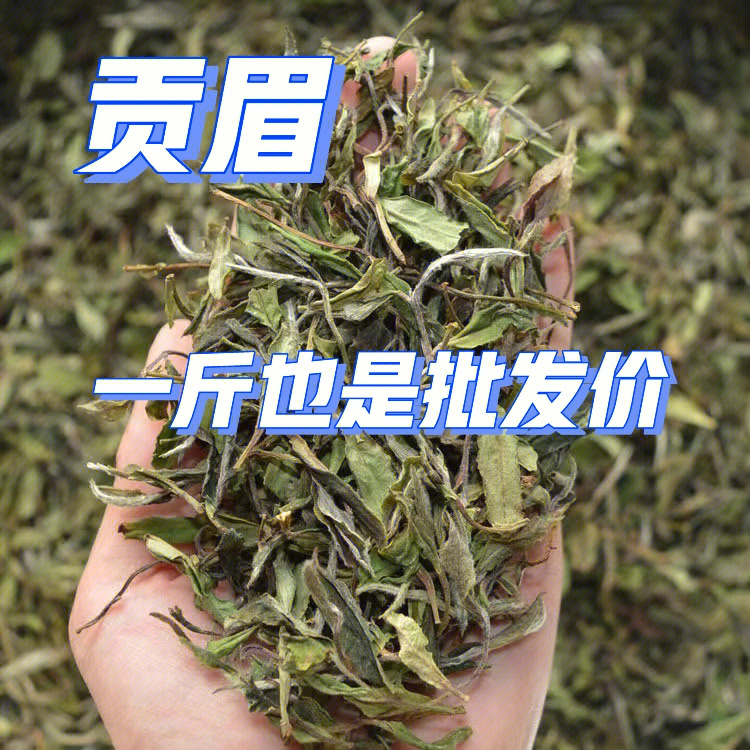 一级贡眉福鼎白茶宝藏品质超便宜