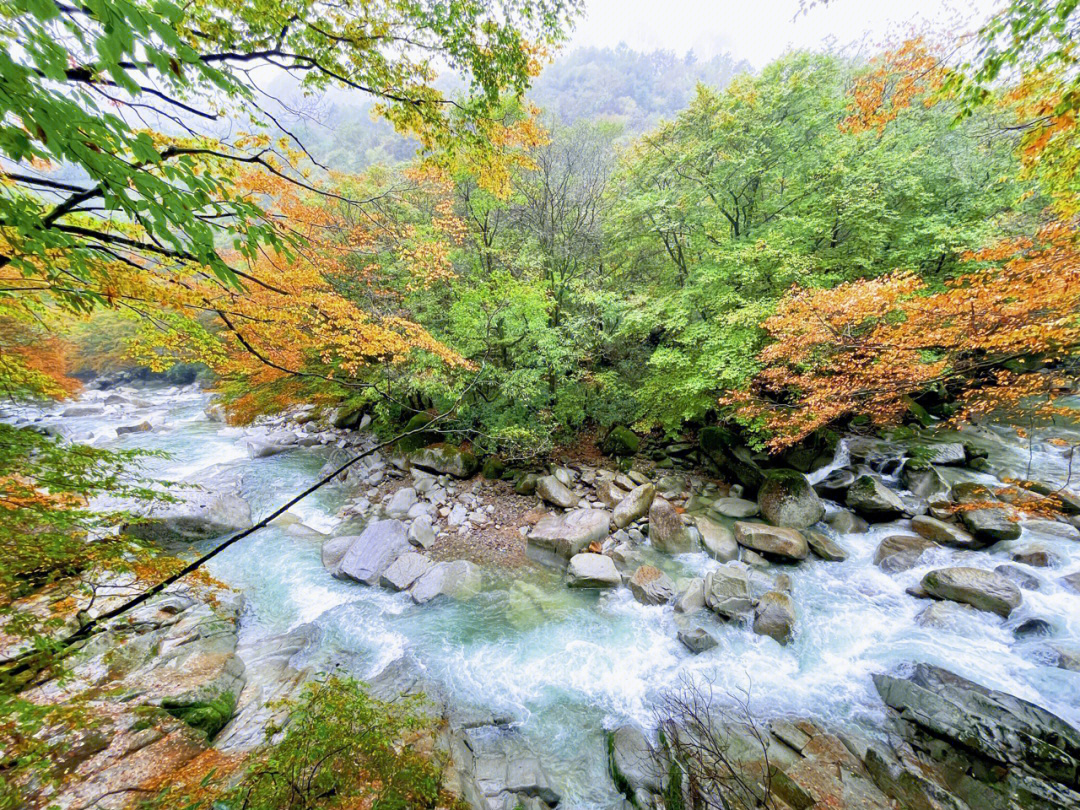 93光雾山旅游区分为三个部分,米仓山景区,光雾山景区,十八月潭景区