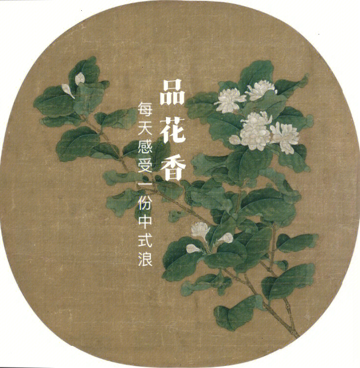 花香画赵昌茉莉花图