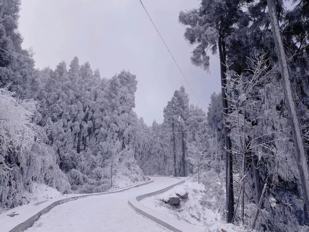 雪景#成都周边游 7615雅安周公山一日游·记