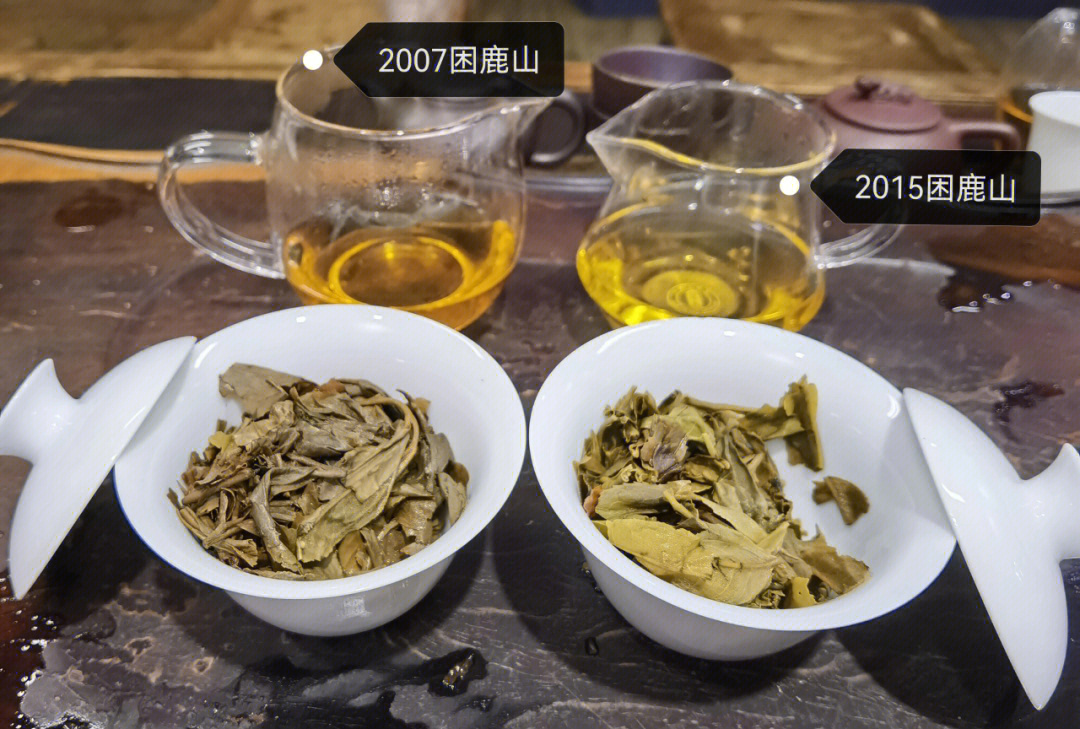 茶饮#普洱茶 困鹿山的生普洱茶香型独特,其茶香清雅,高锐,持久,韵