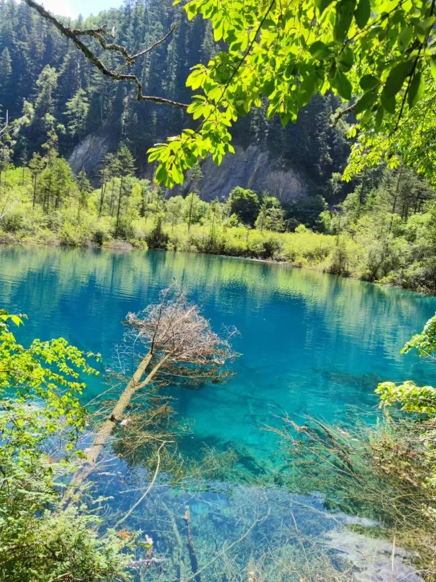 夏天的九寨沟怎么样