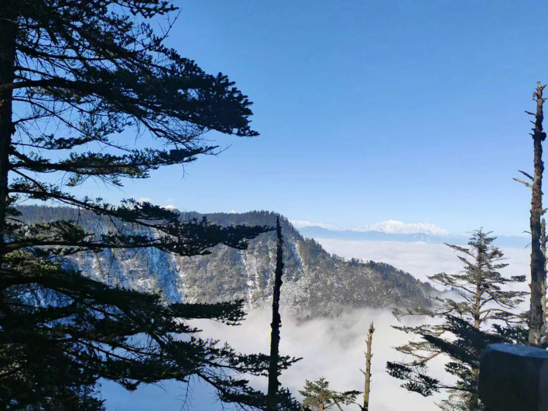 瓦屋山景区攻略