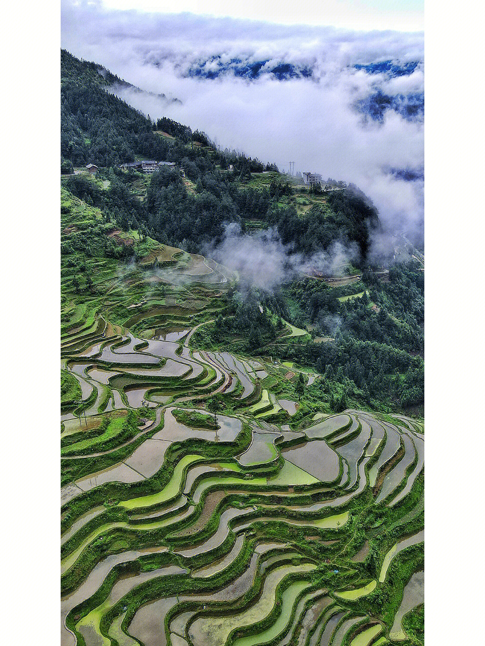 贵州旅游黔东南少数民族风情和梯田风光