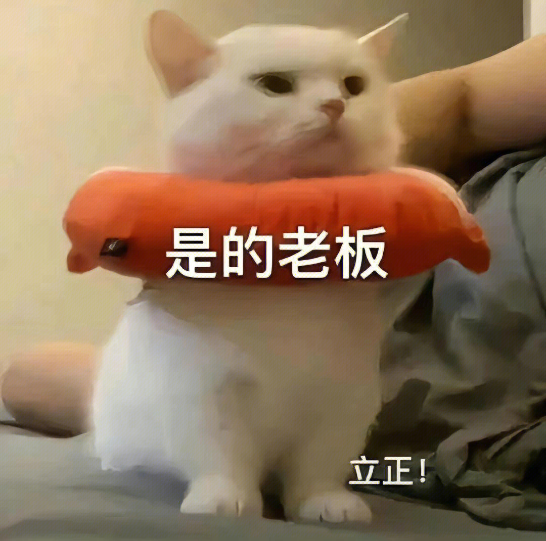 jpg