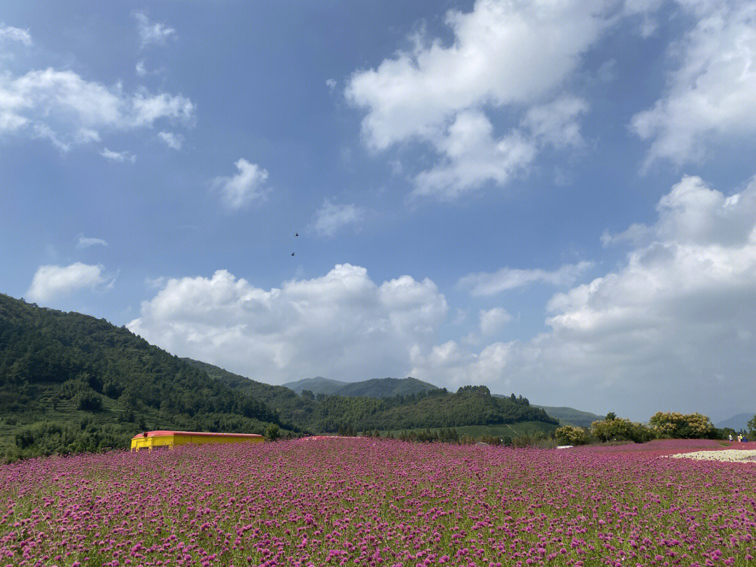 径山花海