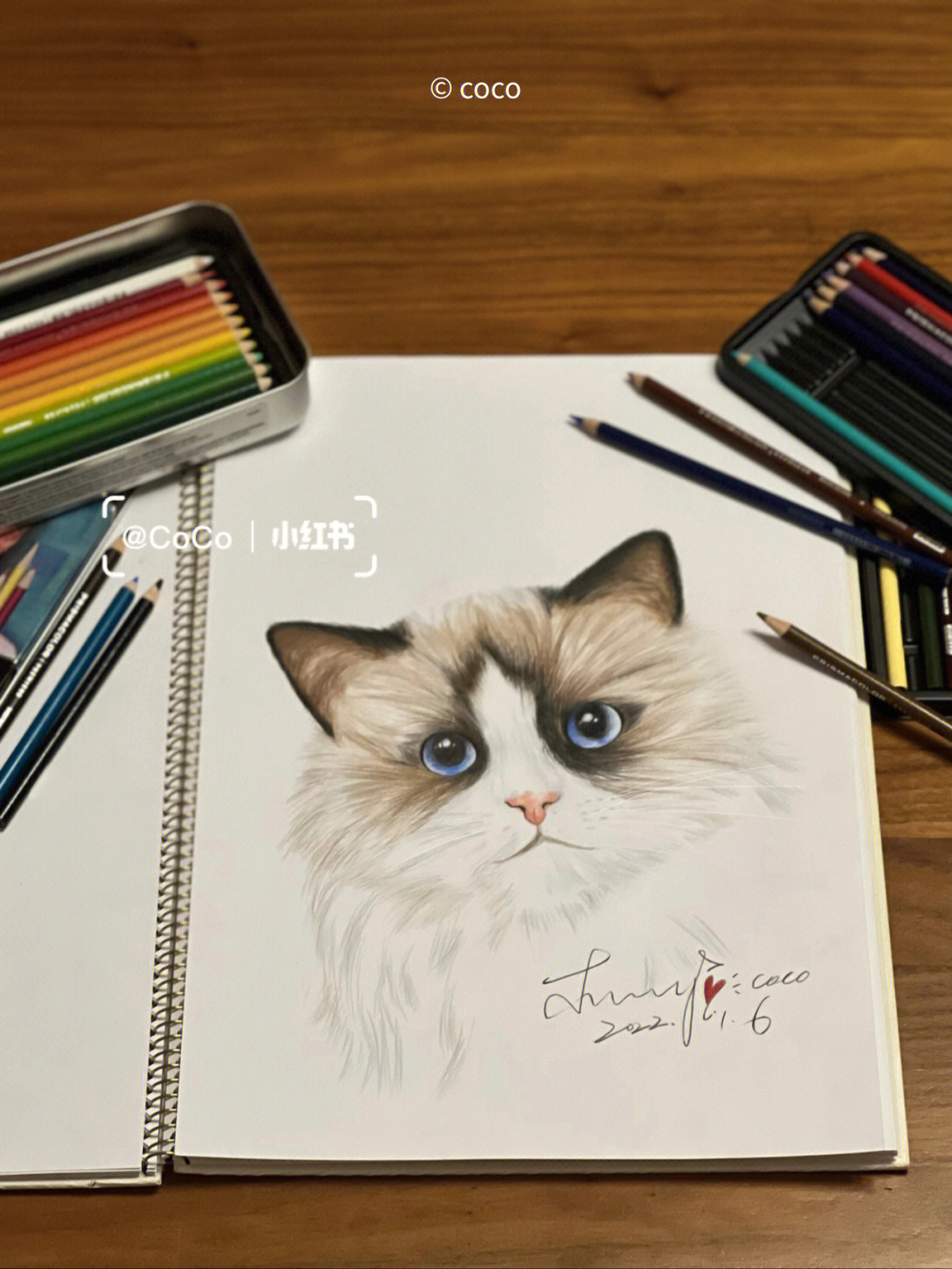 猫-铅笔画【第二弹】|纯艺术|绘画|Jes琪 - 原创作品 - 站酷 (ZCOOL)
