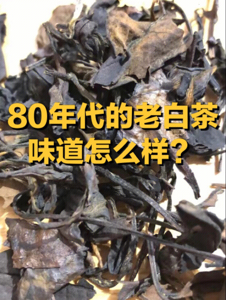 80年代的老白茶你喝过吗