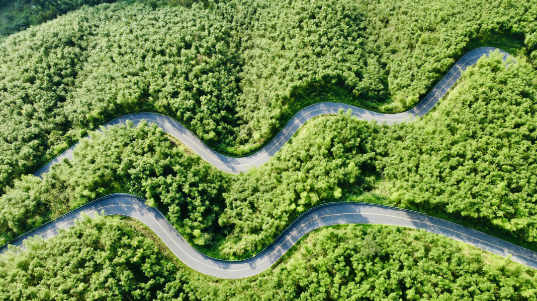 小杭坑的盘山公路有多出片