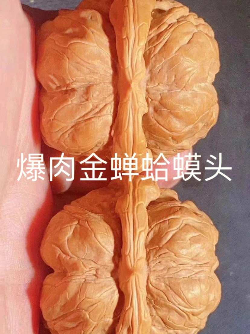 全品无修,金蟾蛤蟆头没有大果,蟾型非常漂亮饱满,骨质也很好,上手易红